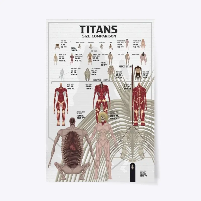 Titans Size Comparison AOT