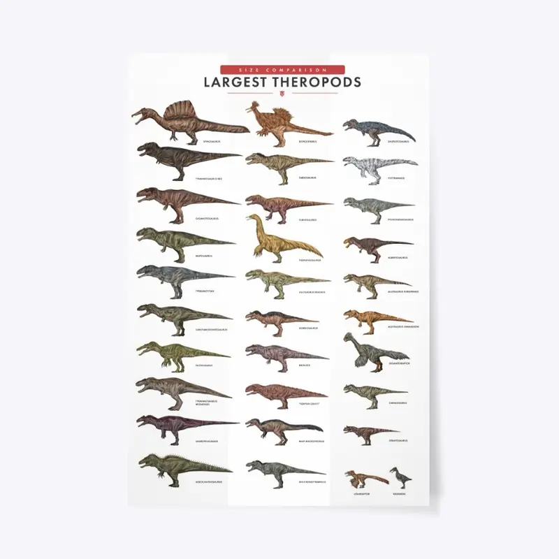 Largest Theropods Poster -White version 